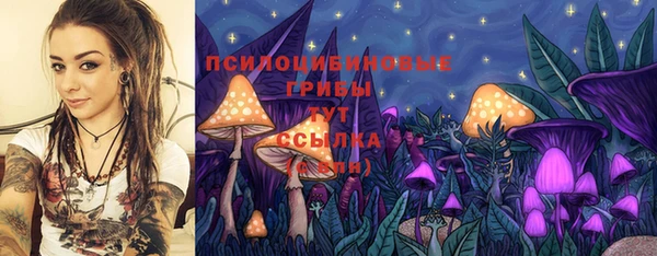 ECSTASY Арсеньев