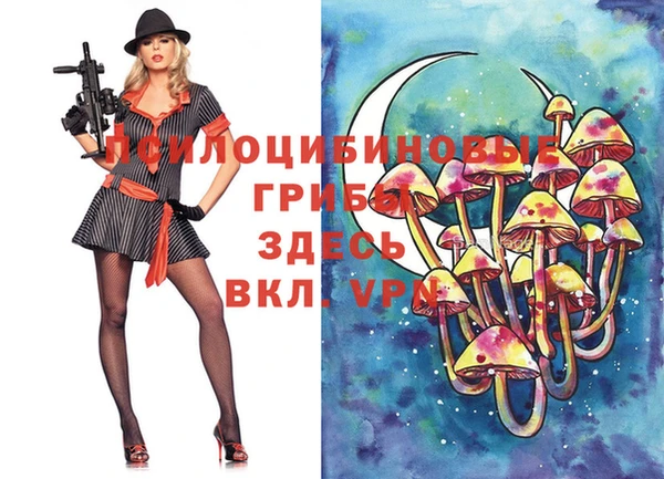 тгк Аркадак