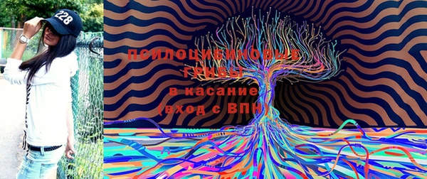 ECSTASY Арсеньев