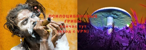 соль курить ск Алексин