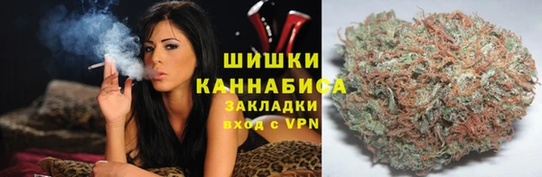 a pvp Алзамай